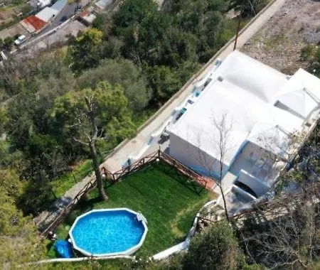 - In بيت ضيافة *